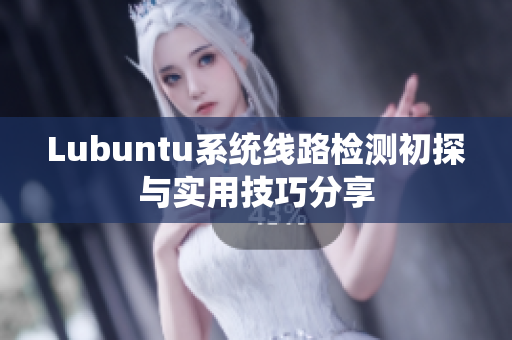 Lubuntu系统线路检测初探与实用技巧分享