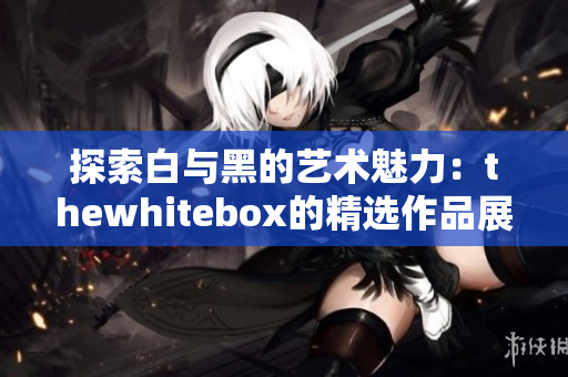 探索白与黑的艺术魅力：thewhitebox的精选作品展示