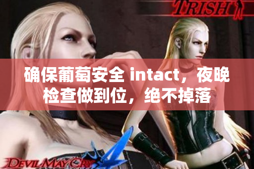 确保葡萄安全 intact，夜晚检查做到位，绝不掉落