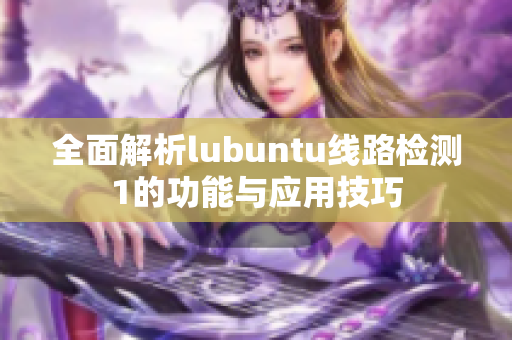 全面解析lubuntu线路检测1的功能与应用技巧