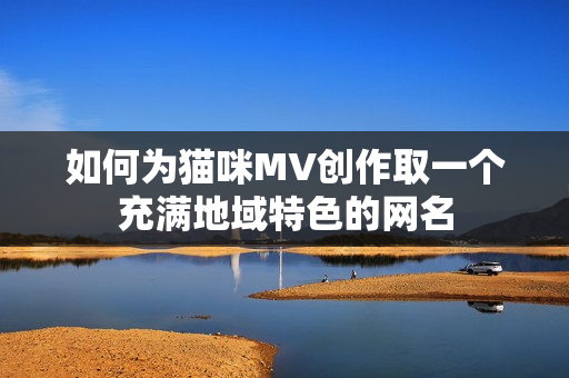 如何为猫咪MV创作取一个充满地域特色的网名