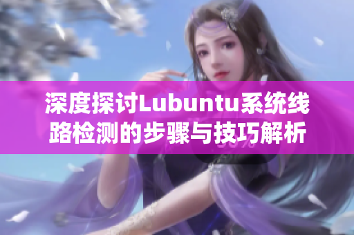 深度探讨Lubuntu系统线路检测的步骤与技巧解析