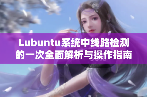 Lubuntu系统中线路检测的一次全面解析与操作指南